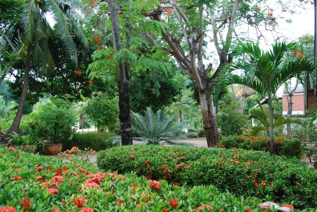 Rose Garden Samui Bungalows Lamaj-part Kültér fotó